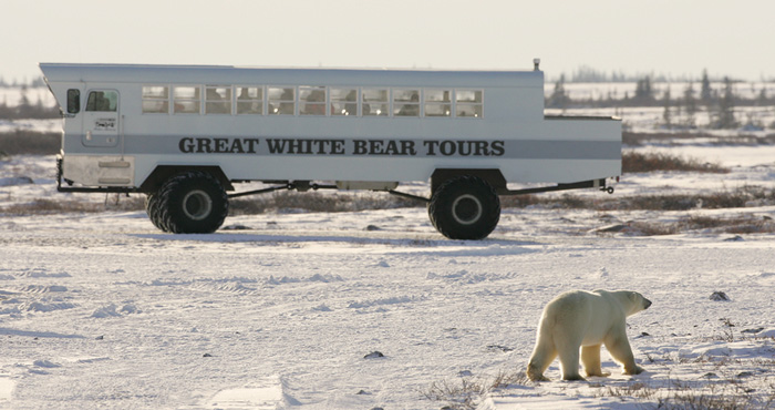 Tundra Tours and Adventure Travel Packages