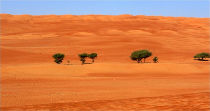 Oman Adventure Tours