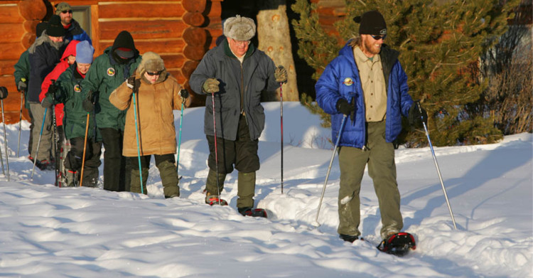 Setting out to snowshoe in Yellowstone National Park. Photo: Natural Habitat Adventures/Eric Rock.
