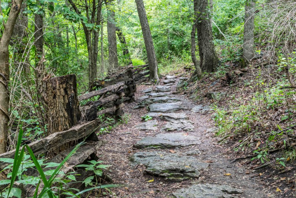 the trails at the Springfield conservation center